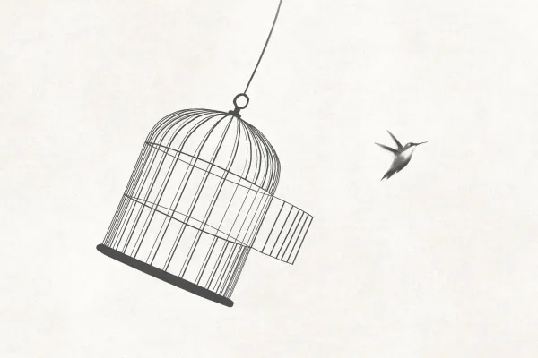 Sozial-ökologische Transformation